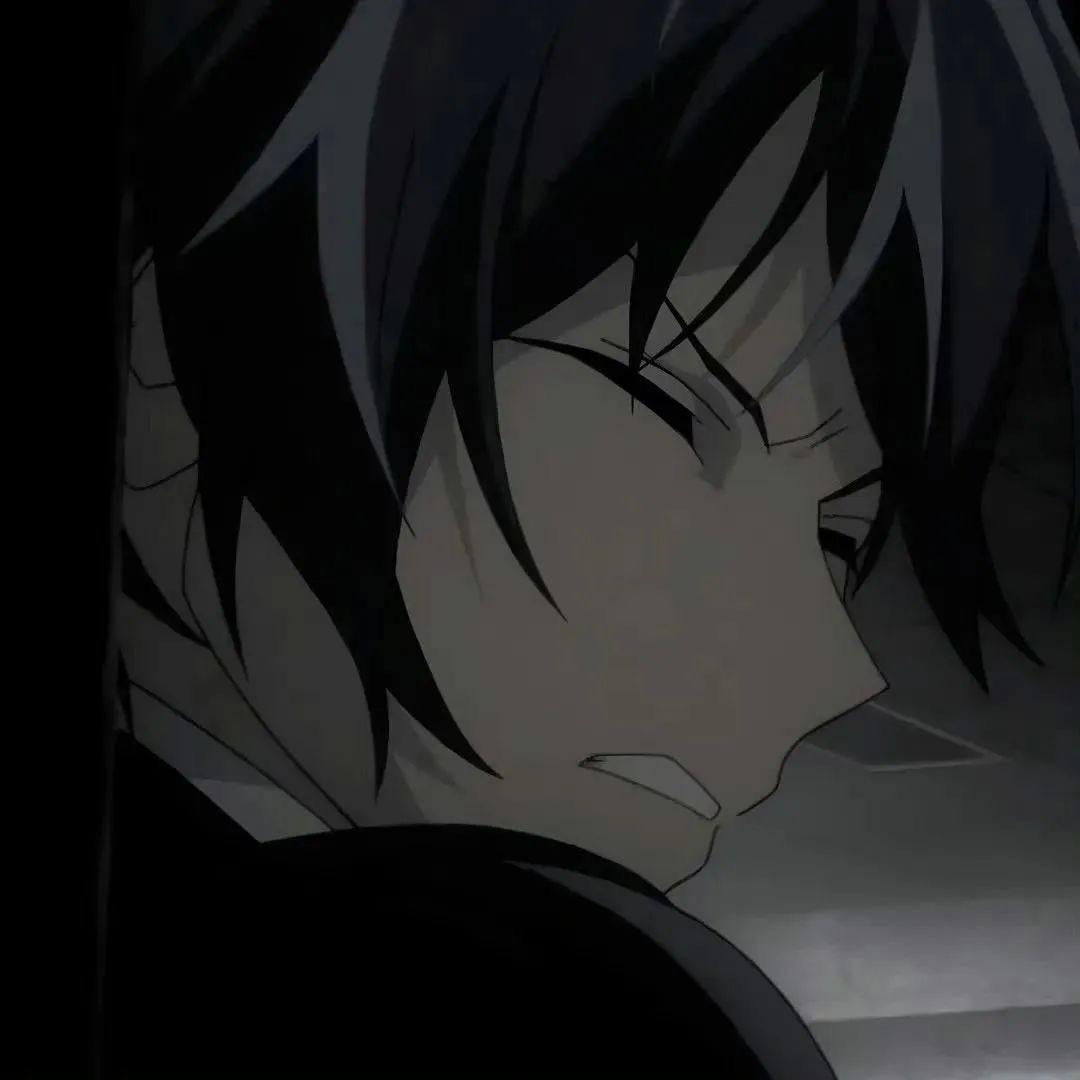 王者荣耀星辰(国一曜老虎)