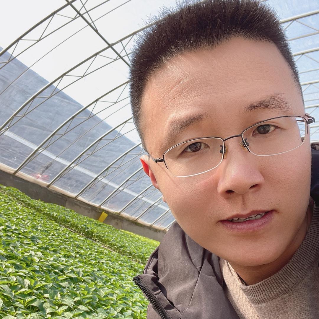 诚浩蔬菜种苗～罗兰口感番茄