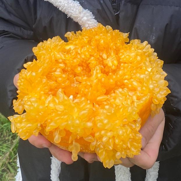 语妹妹的水果店