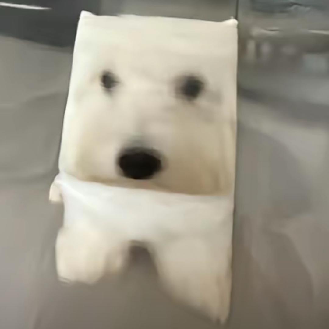 小迪