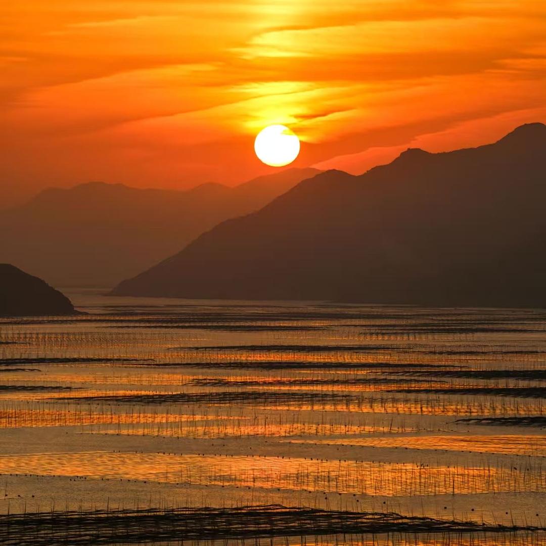 霞浦蜗牛海鲜水产店