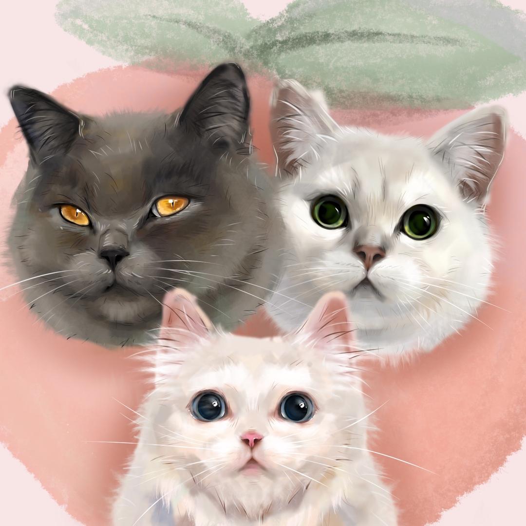 桃子的呸呸猫🐱