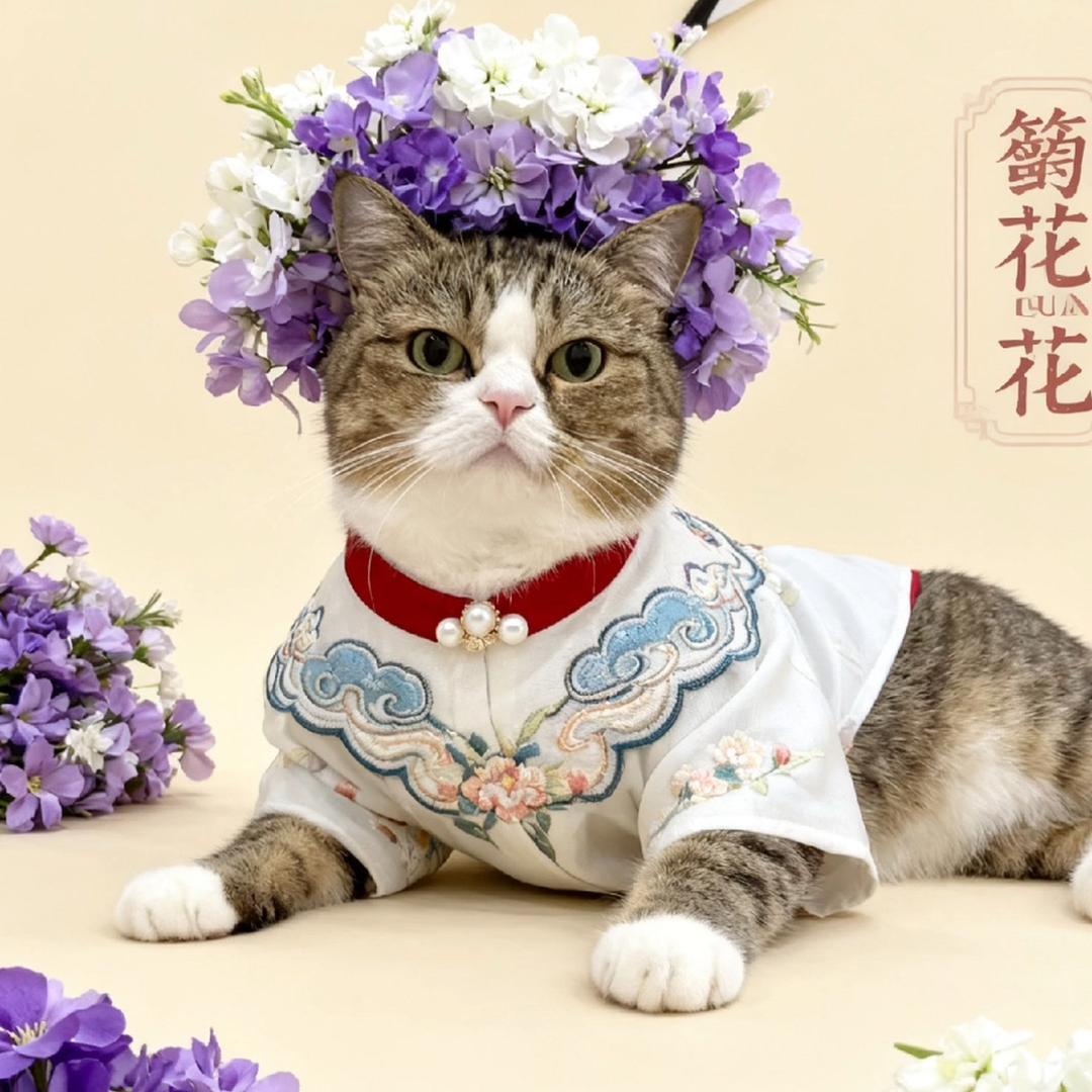 满满登登✨