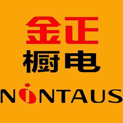 金正NINTAUS优选电器