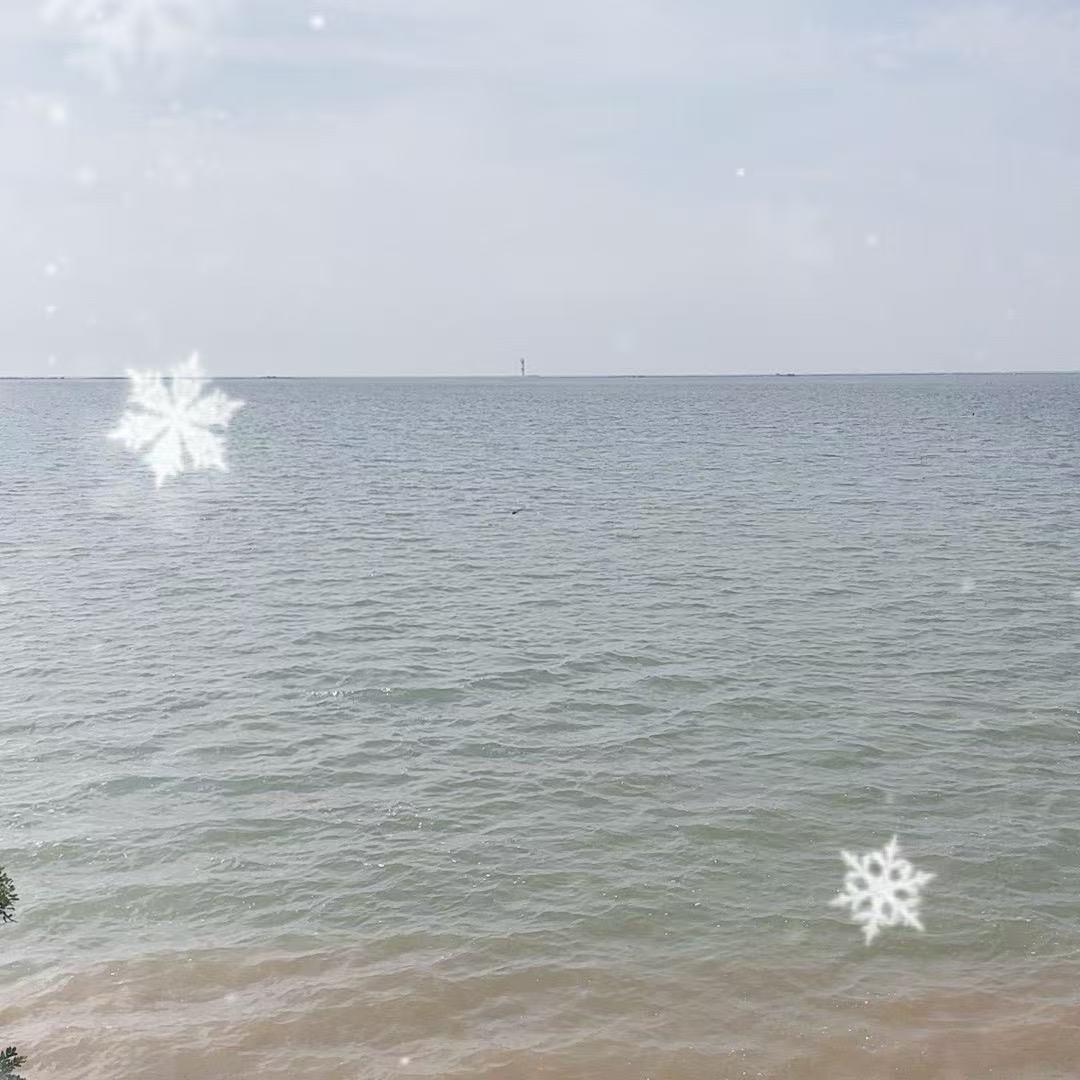 小辉赶海（鲅鱼圈）