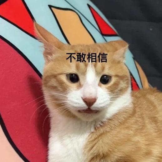 乌鸦✨