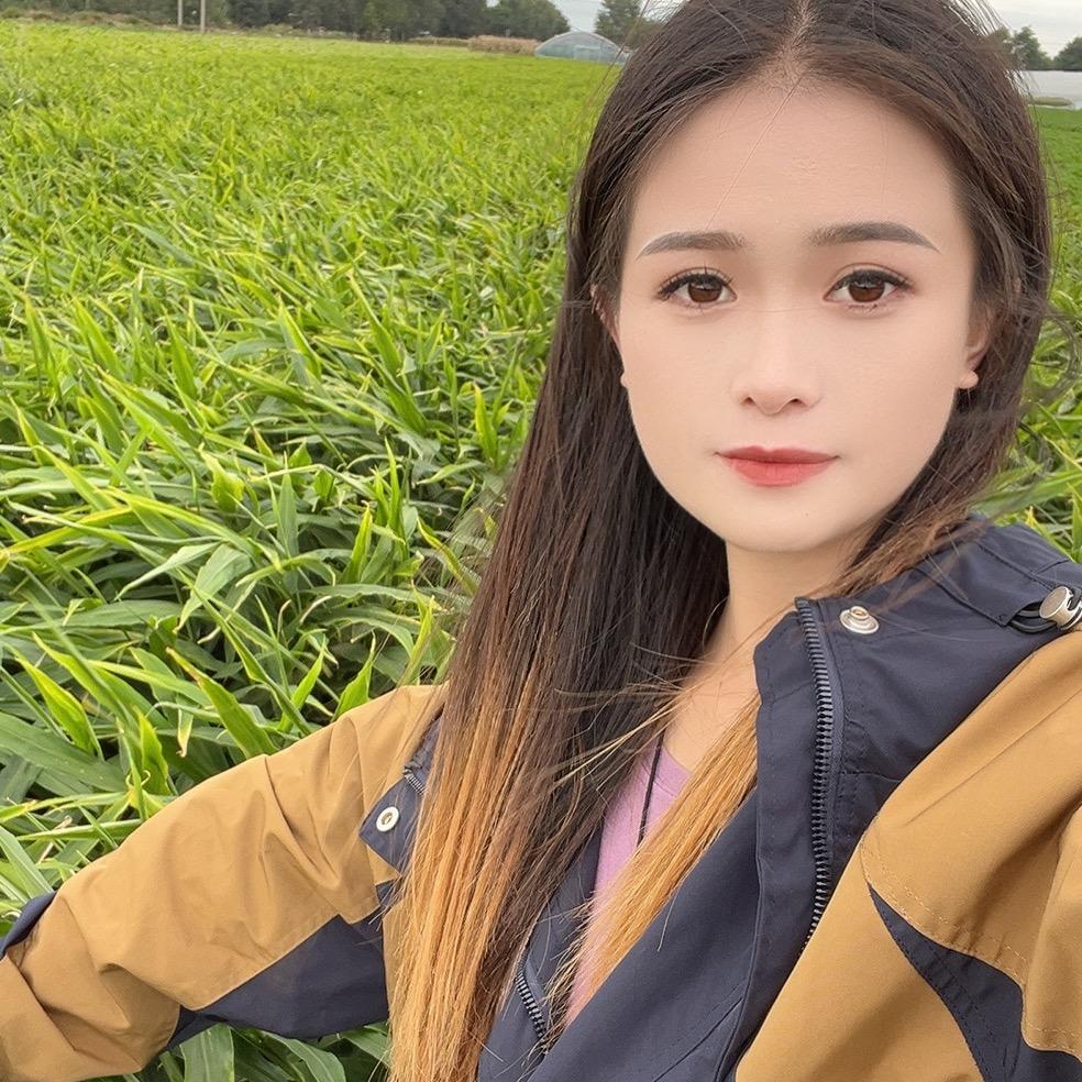 小张生姜每日报价