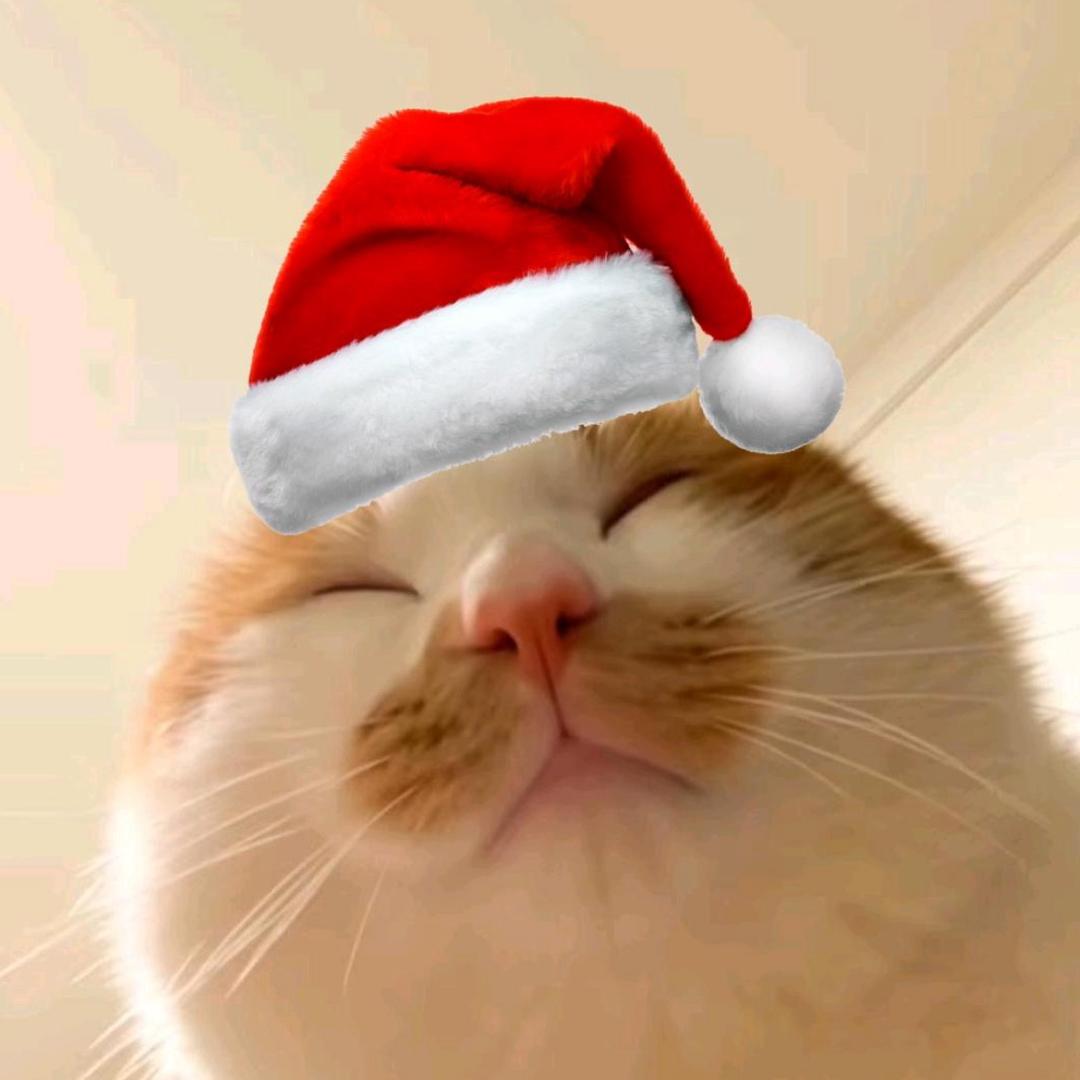 贝贝