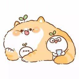 羅小白