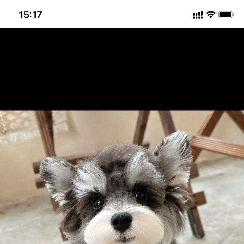 宗波珠宝