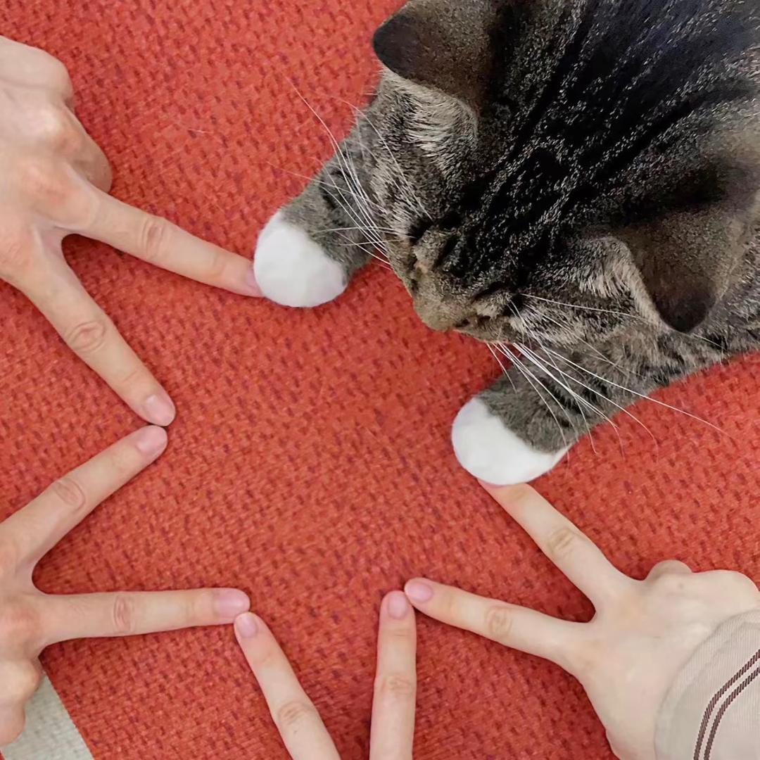 独处 🪳              ╭