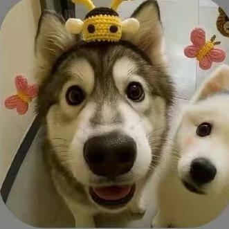眼淚