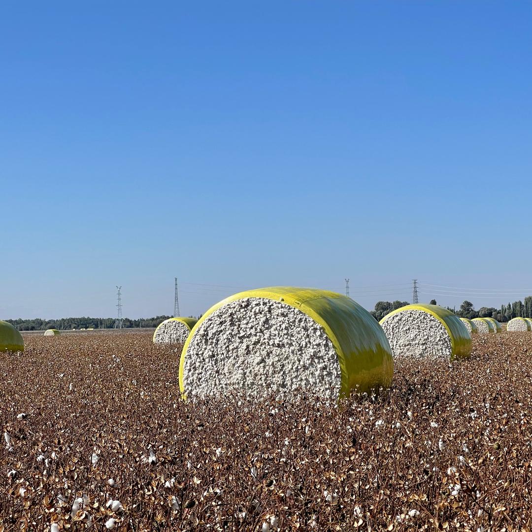 黄帝梦棉被家纺工厂