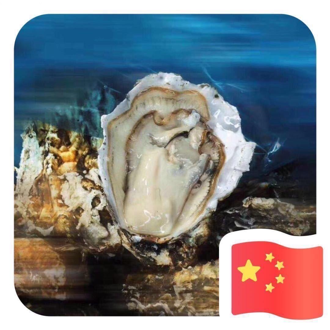 大连生蚝于大伟