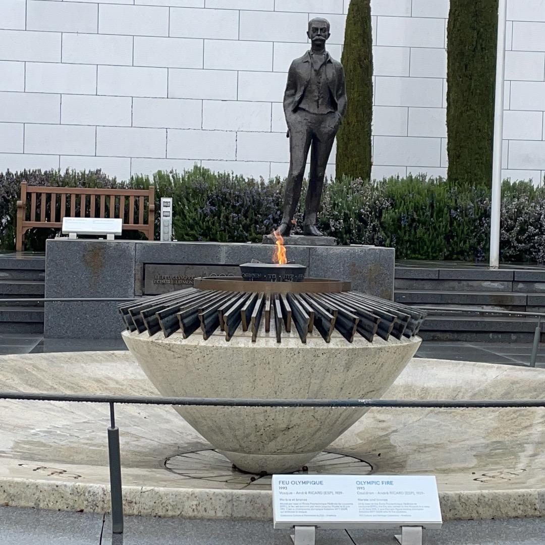 金氏雄鹰