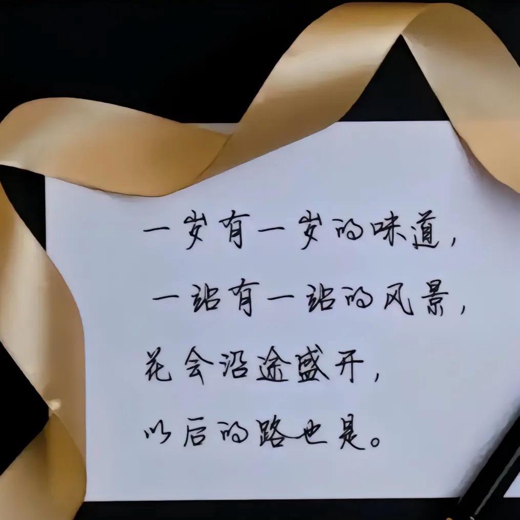 杨夕🐲