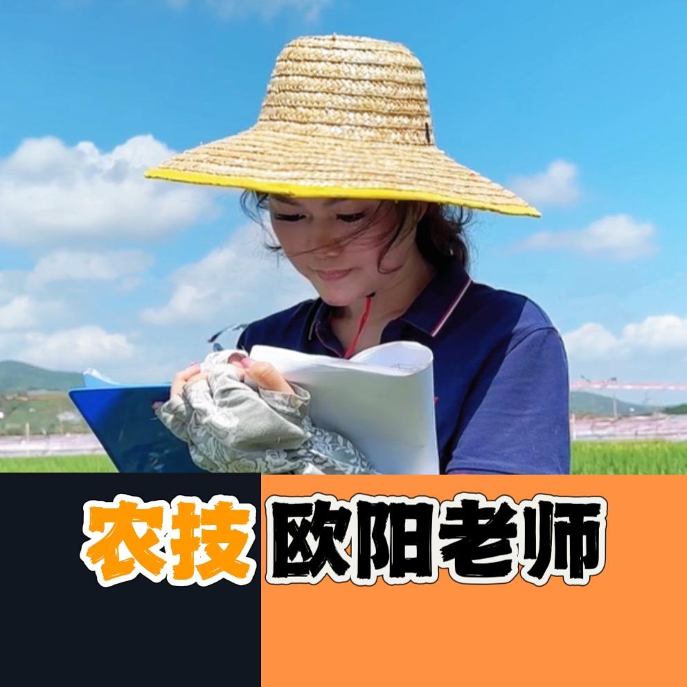 中农种业欧阳吹雪