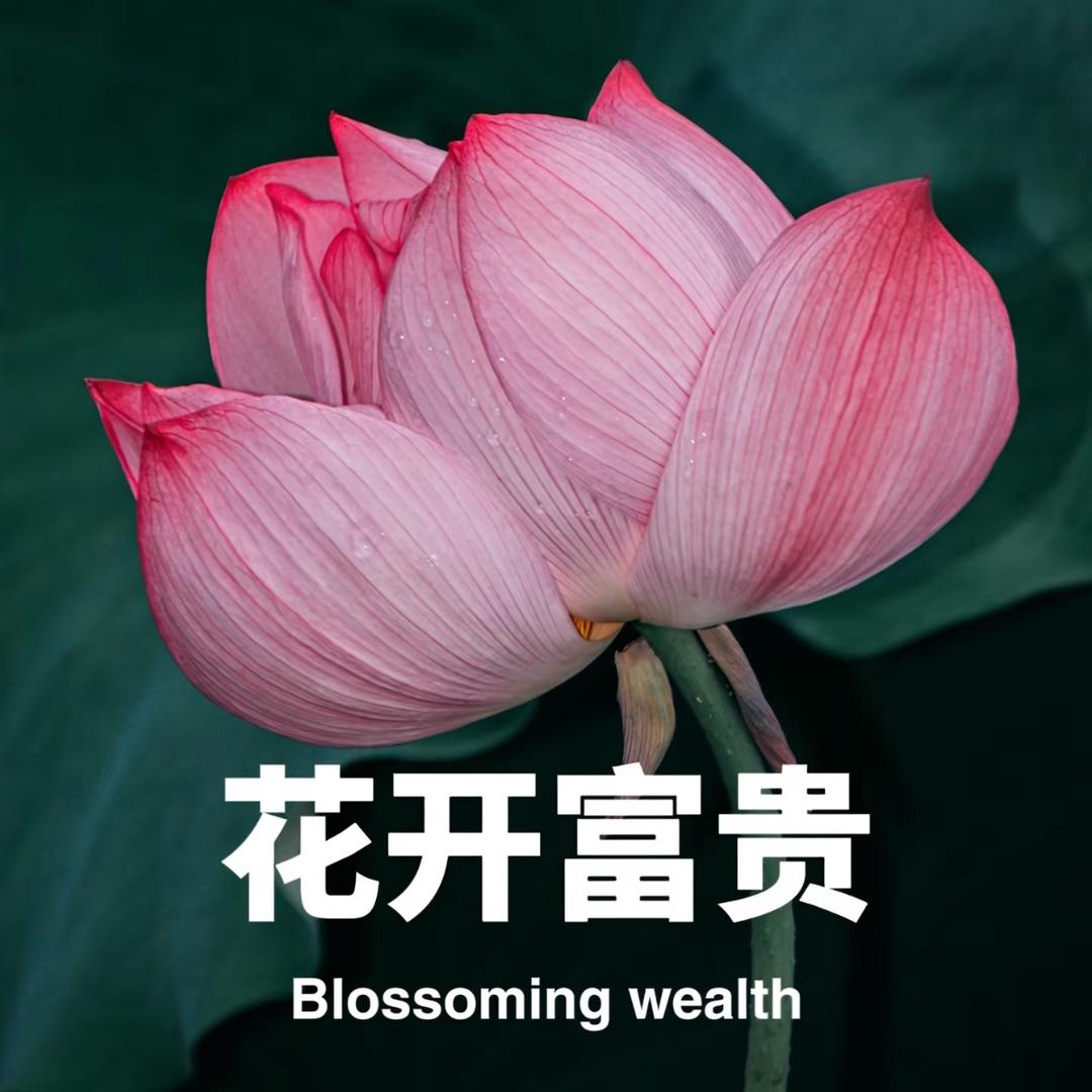 小幸运✨.
