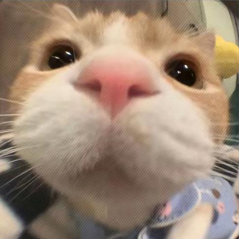 想睡觉💤.