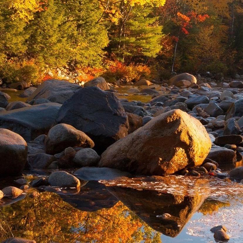 一条可爱的小🐍