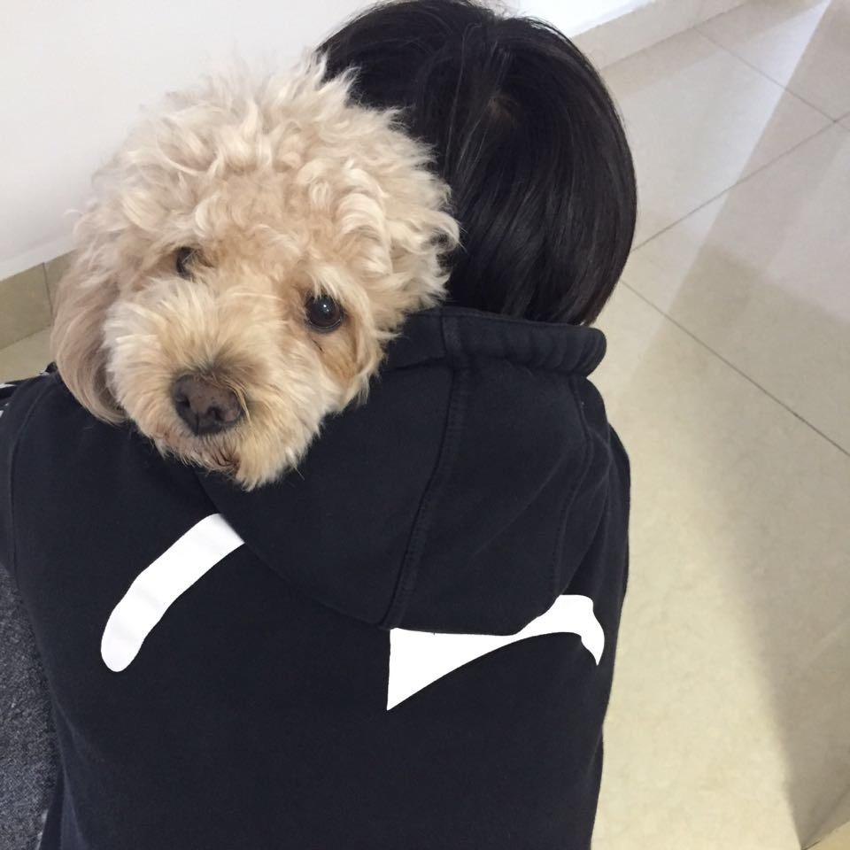 悟空取经在途中