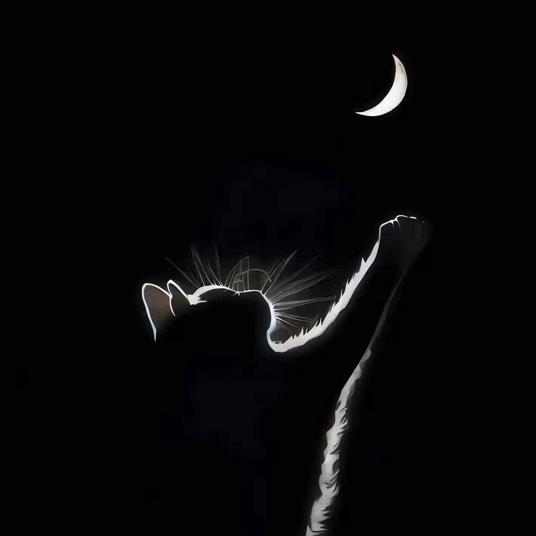 ◆◇、假如說|、我還喜歡妳