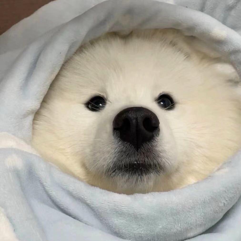 啦啦啦