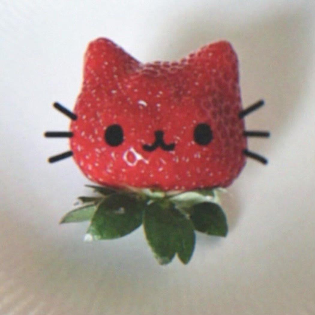 猫薄荷