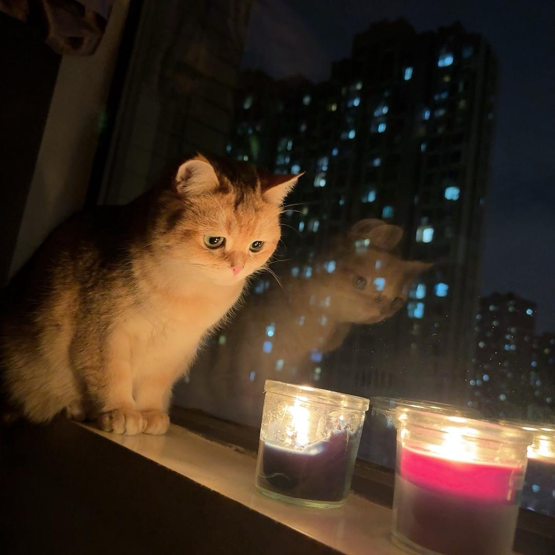 饿了么 痞胖