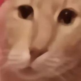 凡神