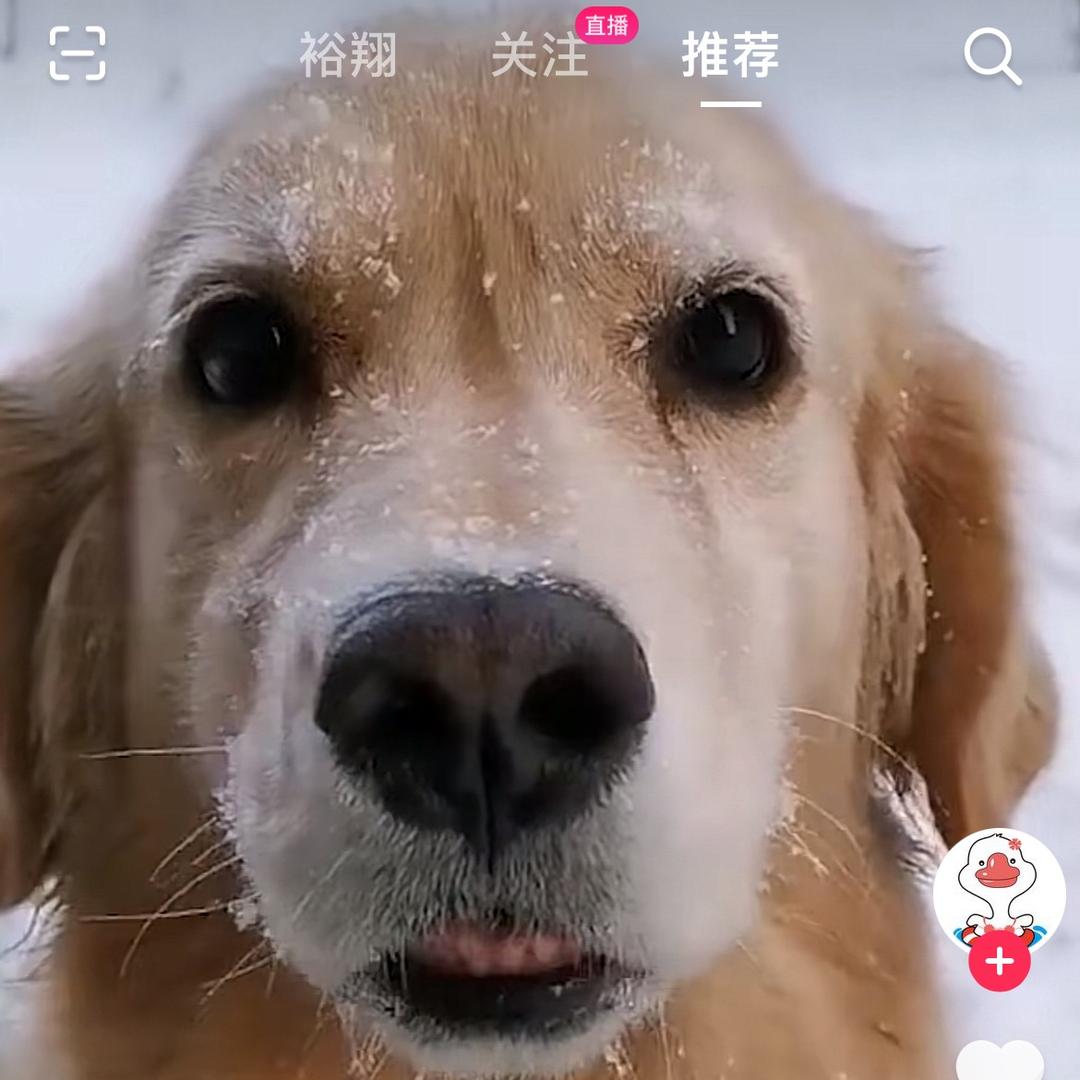 @张混子
