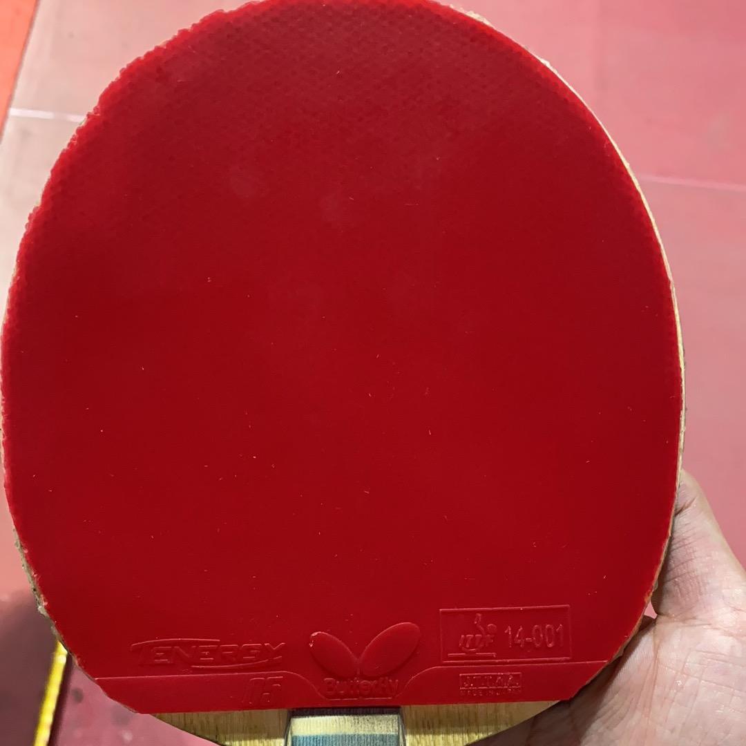 一只启蒙教练🏓️