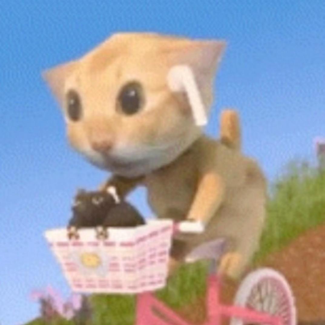 Q