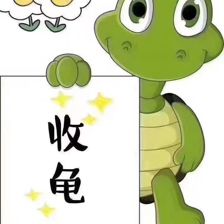 龙屋龟宠水产养殖场