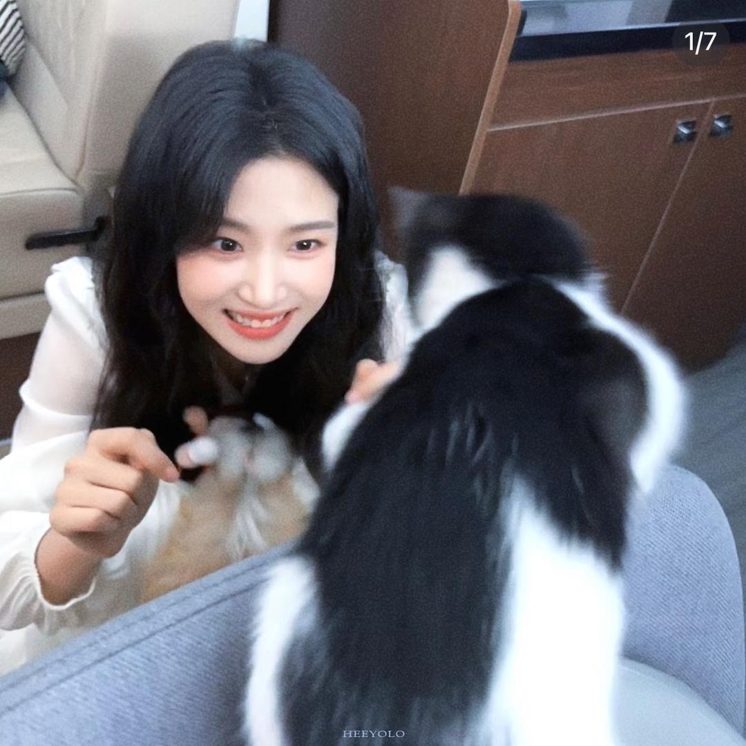 不吃香菜.