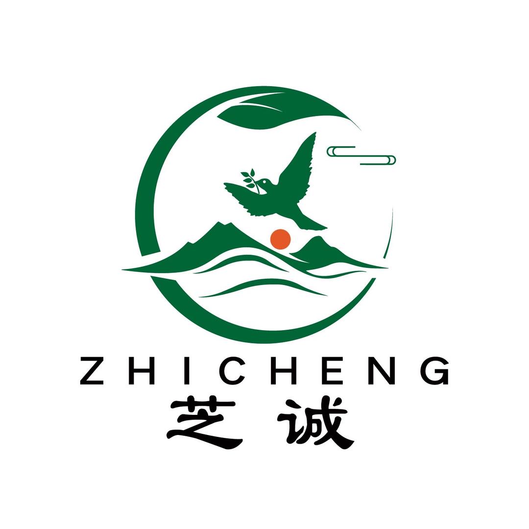 芝诚家居（南美现货批发定制）
