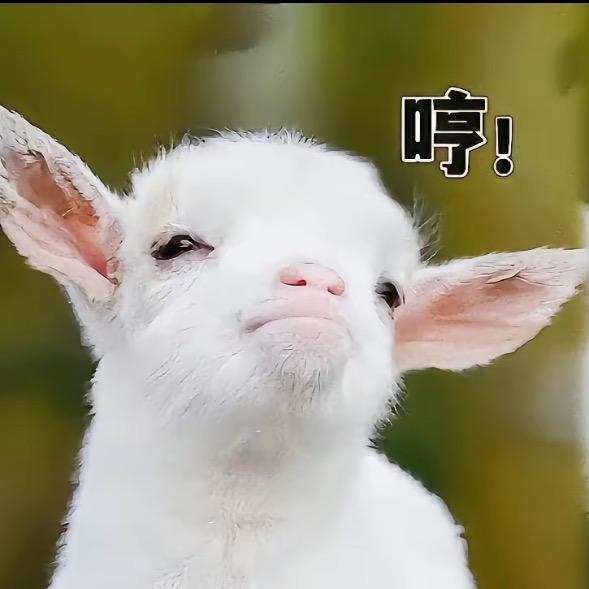 同学的同