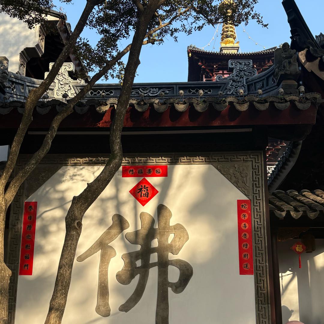 八方来财💰