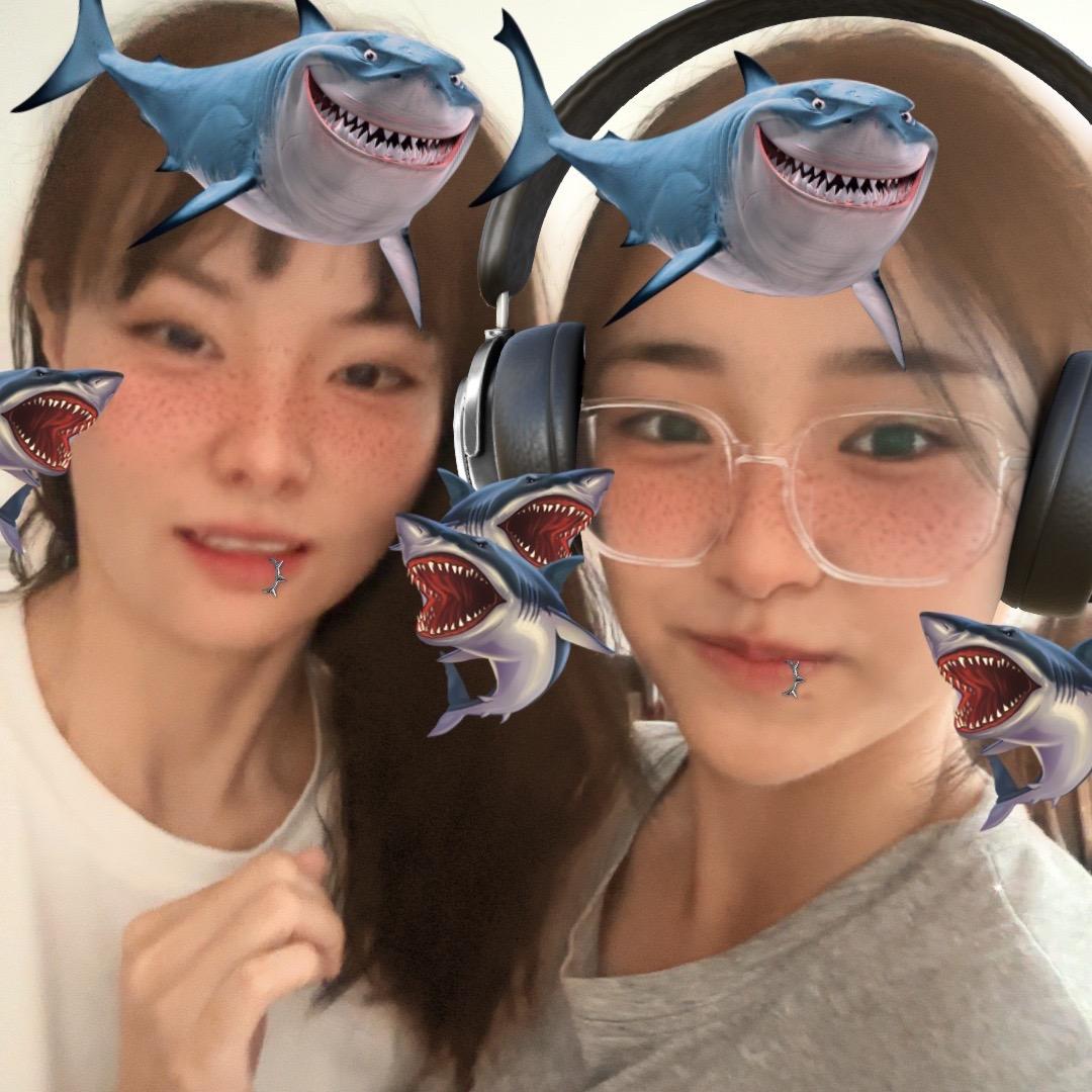 熙熙定制