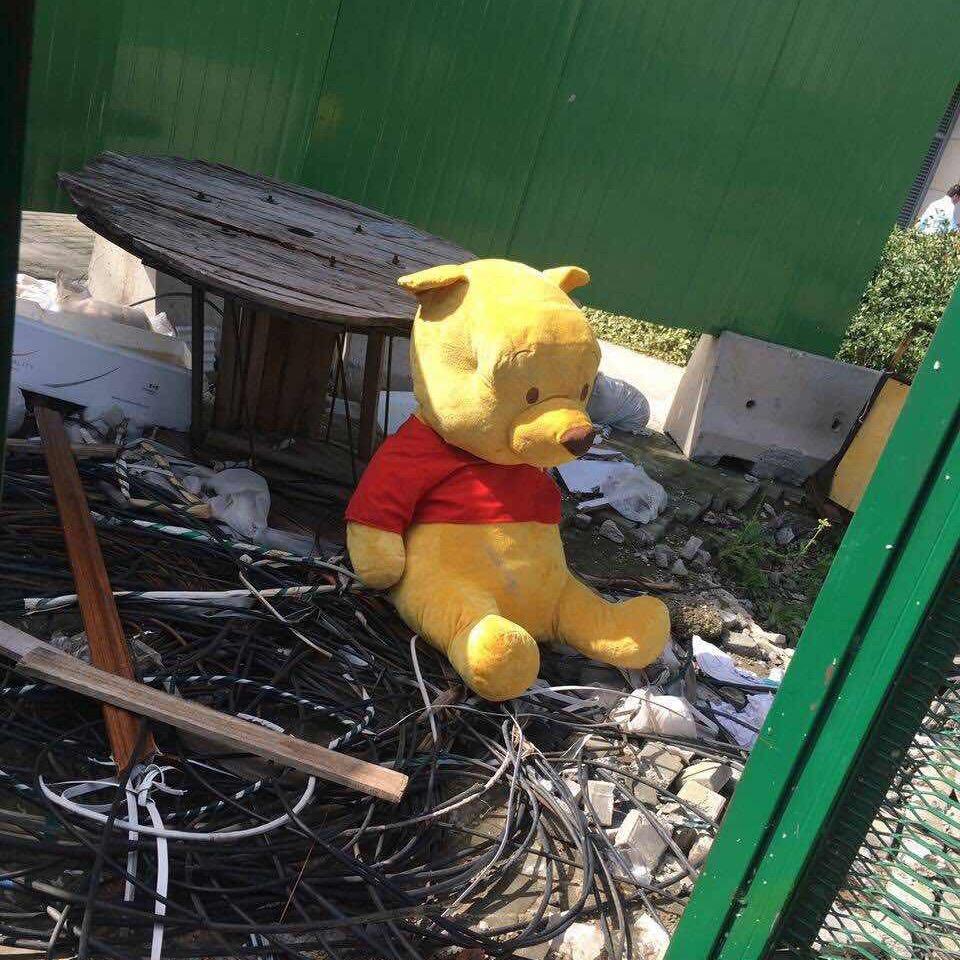 开心大宝宝