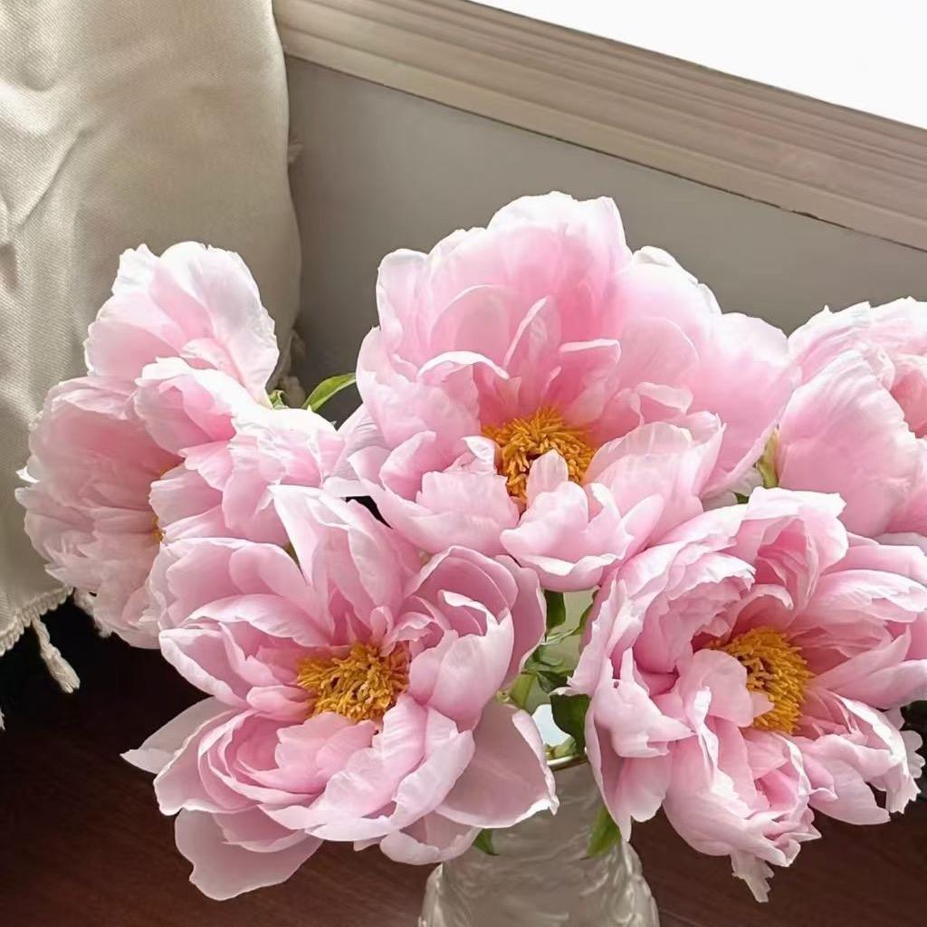 菏泽花卉馆