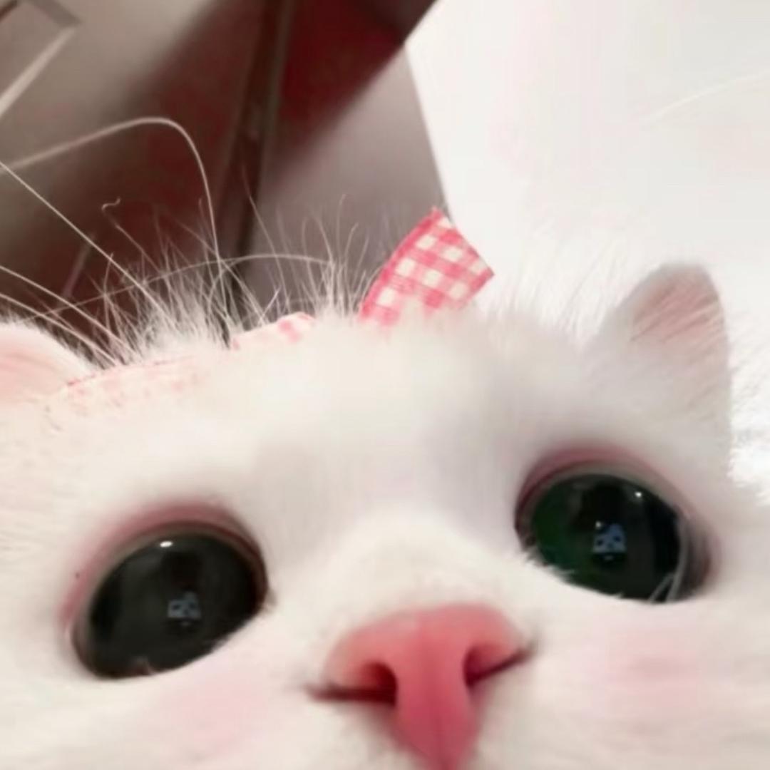 邪恶小咪