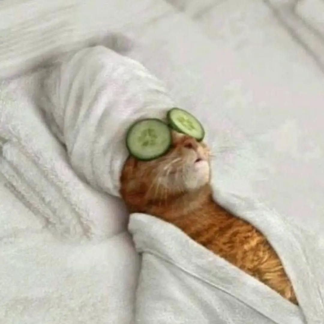 池渡今天很开心