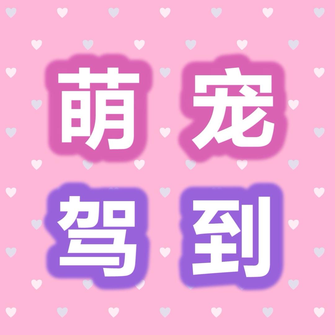 Ai萌宠驾到