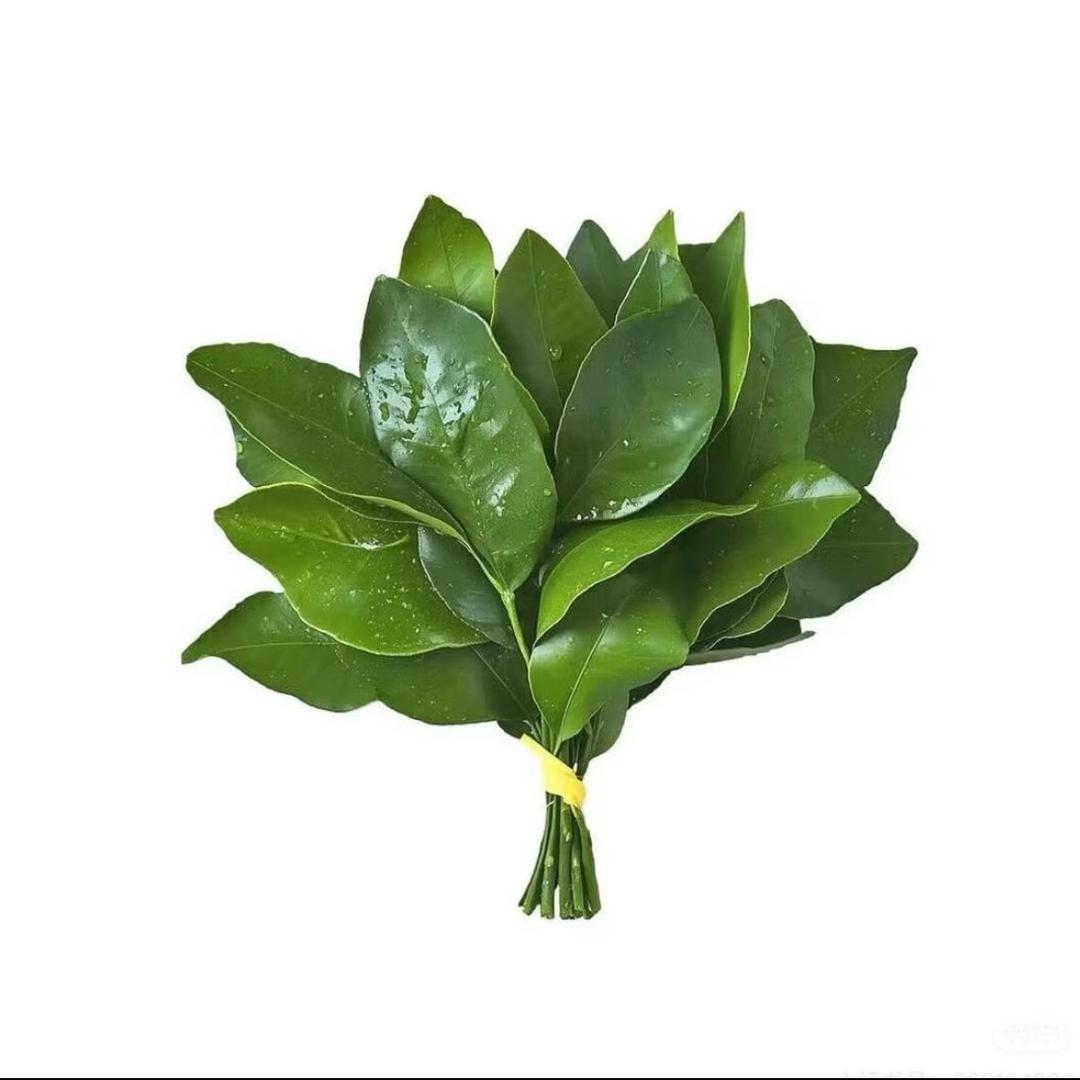 一只小凶许