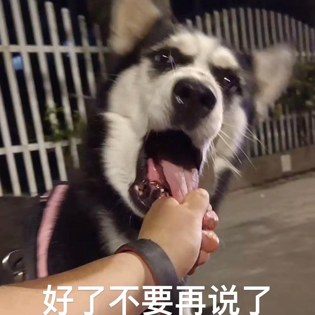 帝京霸主许鸢头像