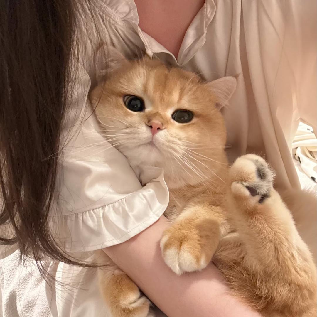 睿宝麻麻