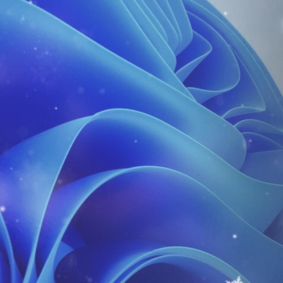 大东海水产