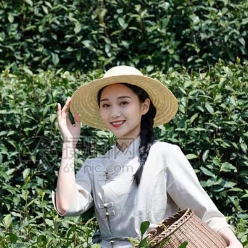 妙敬福鼎白茶
