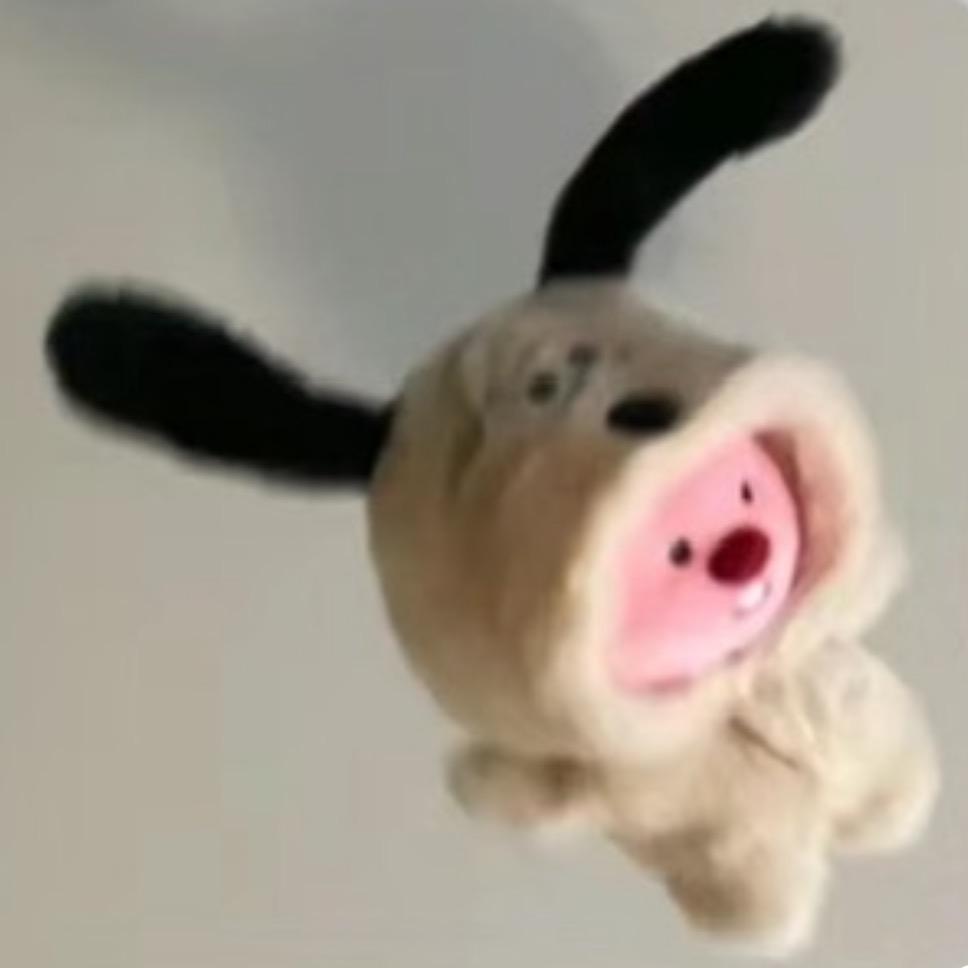 药丸🐣